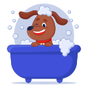 Grooming Dog