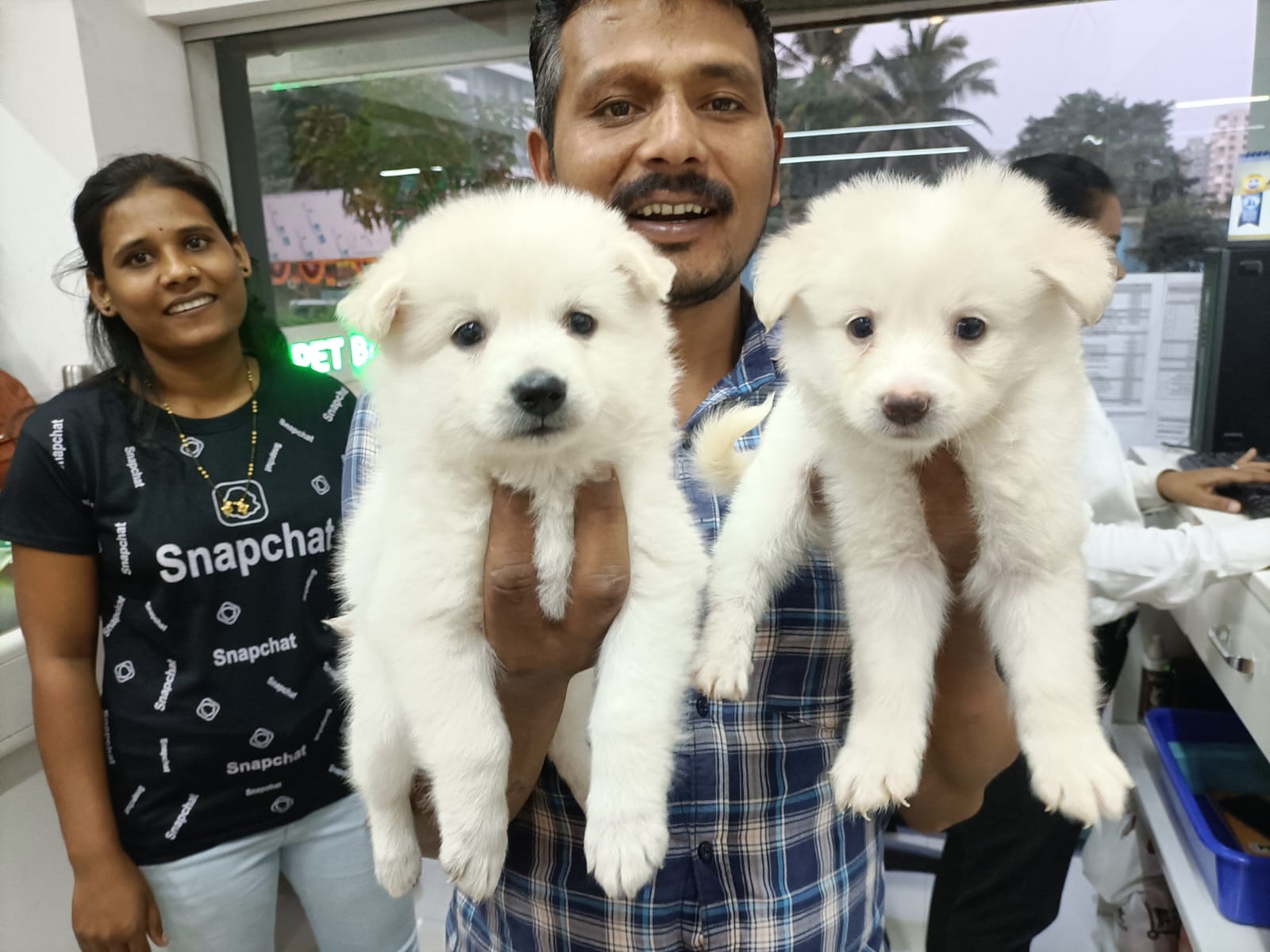 pomeranian female puppies price in mumbai